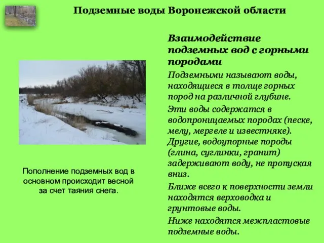 Подземные воды Воронежской области Взаимодействие подземных вод с горными породами Подземными называют