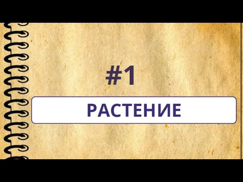 #1 РАСТЕНИЕ