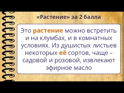 «Растение» за 2 балла Это растение можно встретить и на клумбах, и