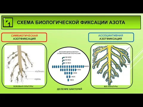 1КОЕ 2 КОЕ 4 КОЕ 8 КОЕ 16КОЕ 32 КОЕ 64 КОЕ