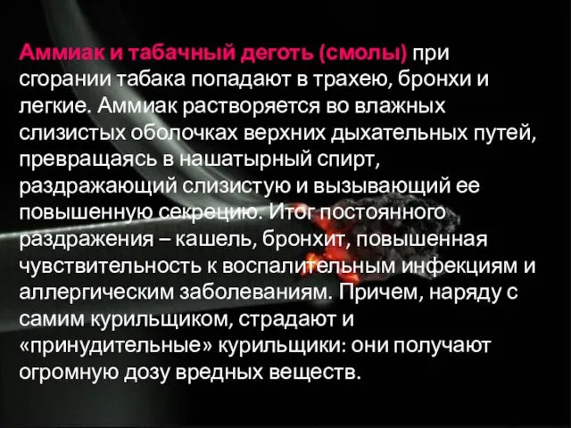 Аммиак и табачный деготь (смолы) при сгорании табака попадают в трахею, бронхи