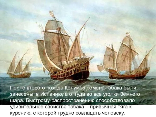 После второго похода Колумба семена табака были занесены в Испанию, а оттуда