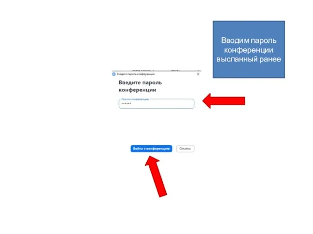 Вводим пароль конференции высланный ранее