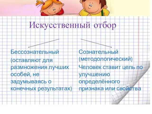 Искусственный отбор Бессознательный (оставляют для размножения лучших особей, не задумываясь о конечных