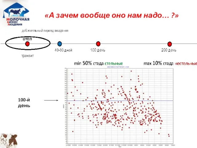 «А зачем вообще оно нам надо… ?» 100-й день