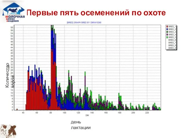 Количество коров день лактации Первые пять осеменений по охоте