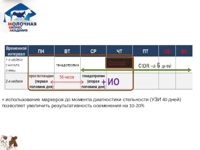 + использование маркеров до момента диагностики стельности (УЗИ 40 дней) позволяет увеличить результативность осеменения на 10-20%