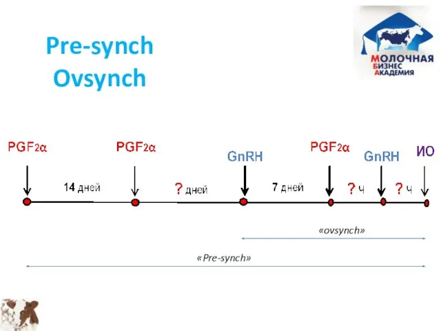 Pre-synch Ovsynch «ovsynch» «Pre-synch»