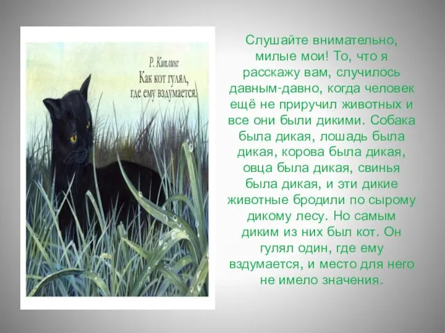 Слушайте внимательно, милые мои! То, что я расскажу вам, случилось давным-давно, когда