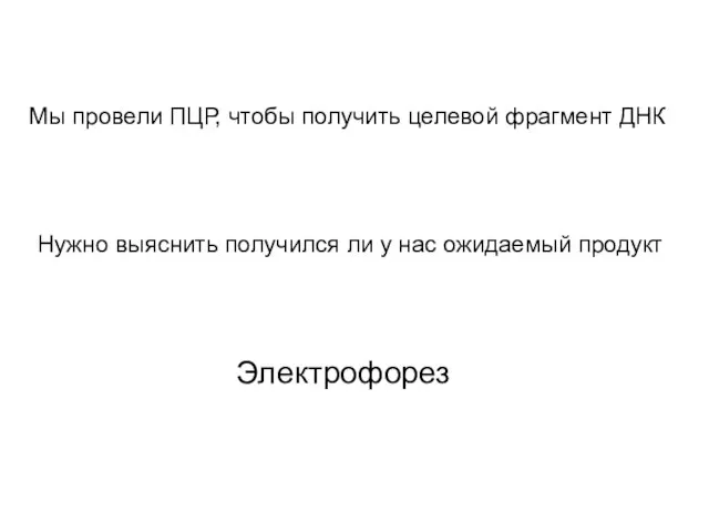 Мы провели ПЦР, чтобы получить целевой фрагмент ДНК Нужно выяснить получился ли