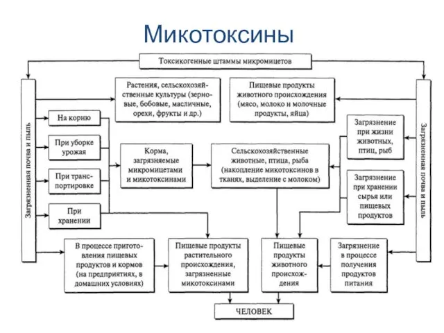 Микотоксины