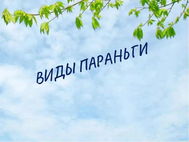 ВИДЫ ПАРАНЬГИ