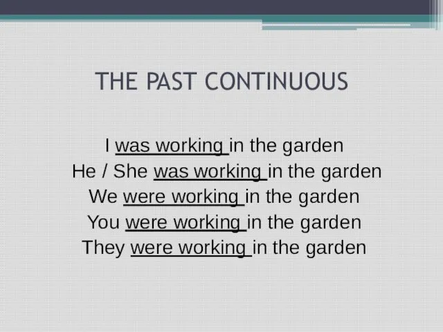 THE PAST CONTINUOUS I was working in the garden He / She