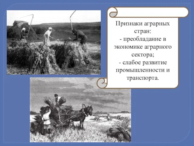 Признаки аграрных стран: - преобладание в экономике аграрного сектора; - слабое развитие промышленности и транспорта.