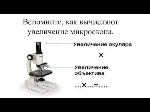 Вспомните, как вычисляют увеличение микроскопа.