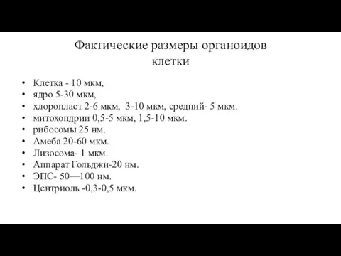 Фактические размеры органоидов клетки Клетка - 10 мкм, ядро 5-30 мкм, хлоропласт