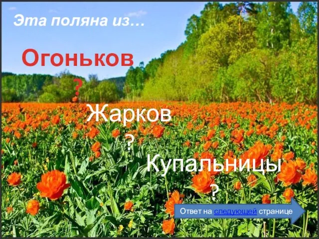 Эта поляна из… Огоньков? Жарков? Купальницы? Ответ на следующей странице