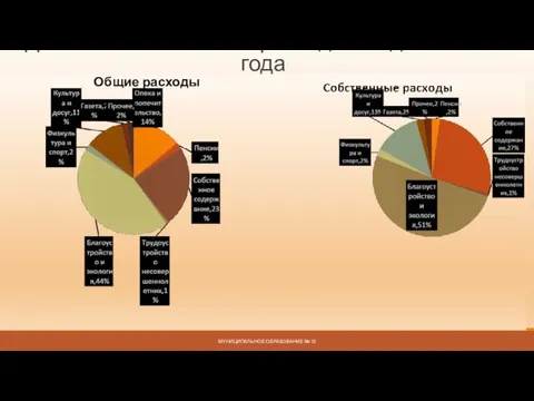 Доли основных статей расходов бюджета 2021 года МУНИЦИПАЛЬНОЕ ОБРАЗОВАНИЕ № 72 Общие расходы