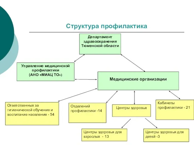 Структура профилактика Управление медицинской профилактики (АНО «МИАЦ ТО») Ответственных за гигиенической обучение