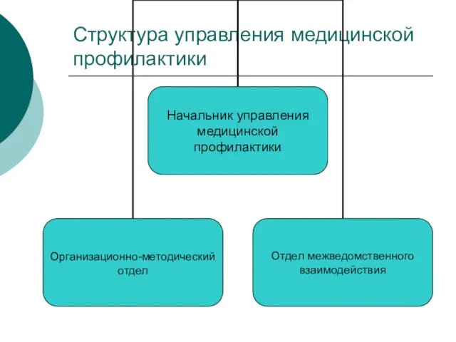 Структура управления медицинской профилактики