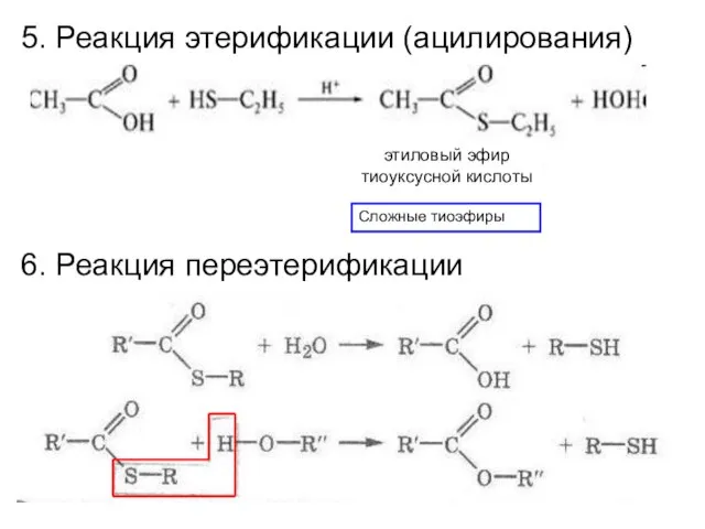 5. Реакция этерификации (ацилирования) Сложные тиоэфиры этиловый эфир тиоуксусной кислоты 6. Реакция переэтерификации