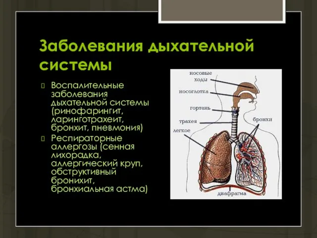 Заболевания дыхательной системы Воспалительные заболевания дыхательной системы (ринофарингит, ларинготрахеит, бронхит, пневмония) Респираторные