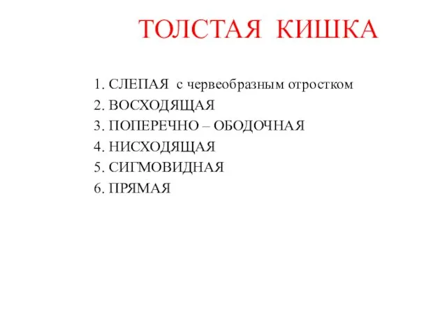 ТОЛСТАЯ КИШКА 1. СЛЕПАЯ с червеобразным отростком 2. ВОСХОДЯЩАЯ 3. ПОПЕРЕЧНО –