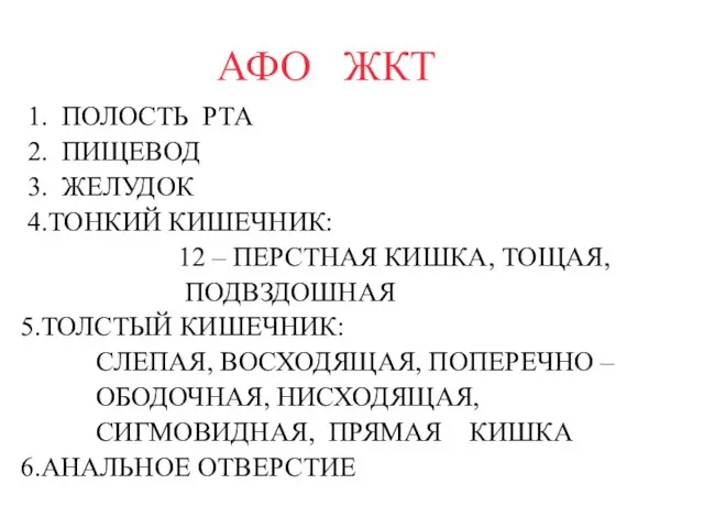 АФО ЖКТ 1. ПОЛОСТЬ РТА 2. ПИЩЕВОД 3. ЖЕЛУДОК 4.ТОНКИЙ КИШЕЧНИК: 12