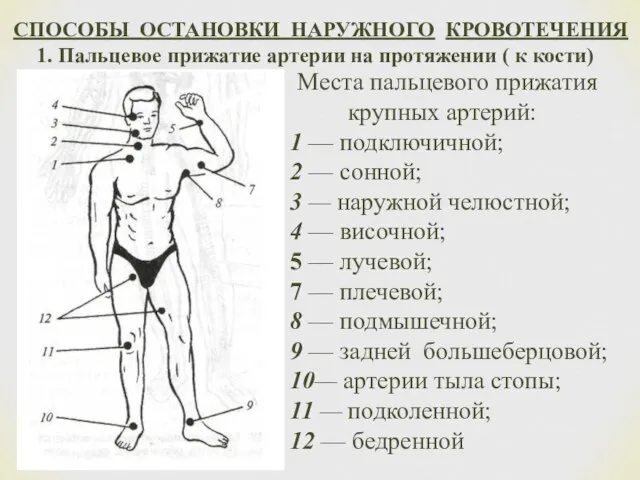 СПОСОБЫ ОСТАНОВКИ НАРУЖНОГО КРОВОТЕЧЕНИЯ 1. Пальцевое прижатие артерии на протяжении ( к