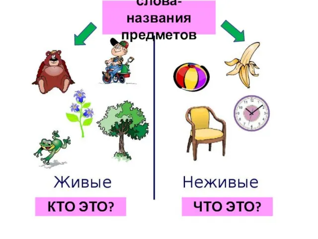 слова- названия предметов КТО ЭТО? ЧТО ЭТО?