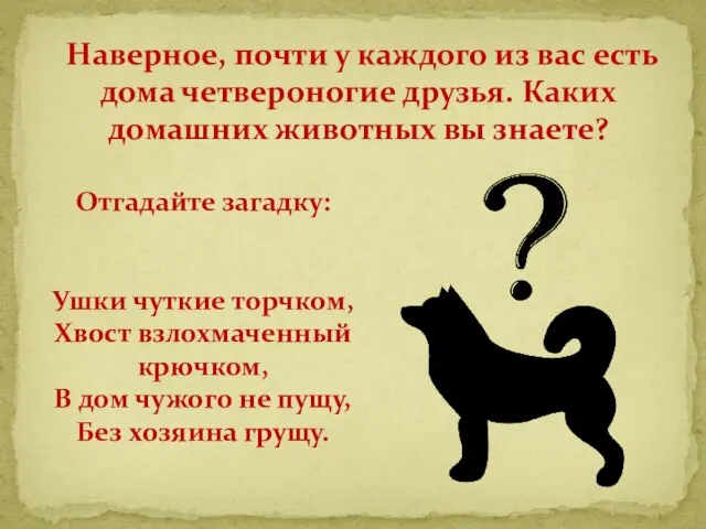 Наверное, почти у каждого из вас есть дома четвероногие друзья. Каких домашних