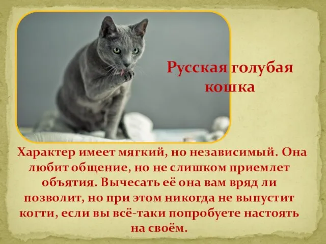 Характер имеет мягкий, но независимый. Она любит общение, но не слишком приемлет