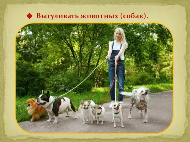 Выгуливать животных (собак).