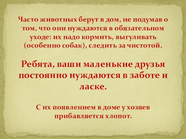 Часто животных берут в дом, не подумав о том, что они нуждаются