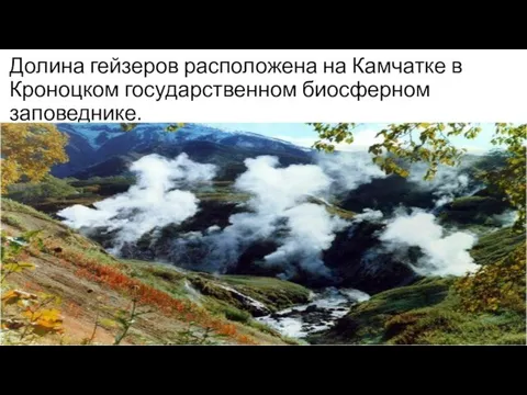 Долина гейзеров расположена на Камчатке в Кроноцком государственном биосферном заповеднике.