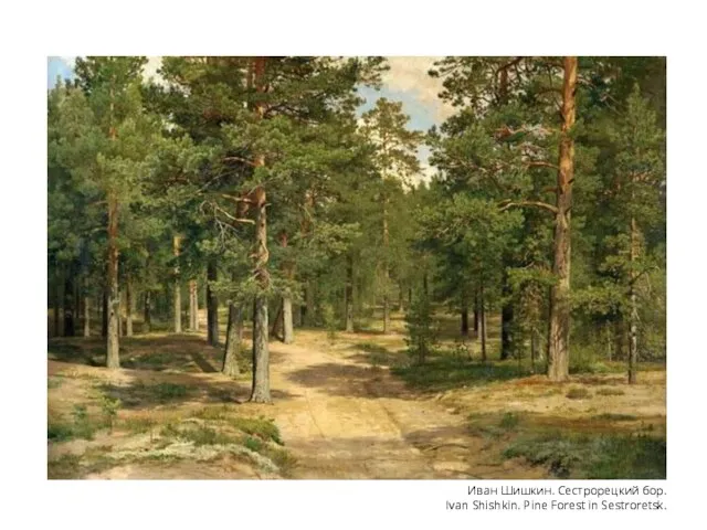 Иван Шишкин. Сестрорецкий бор. Ivan Shishkin. Pine Forest in Sestroretsk.