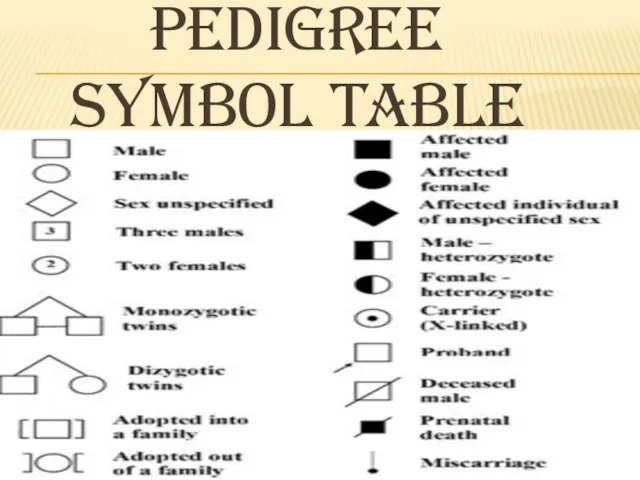 PEDIGREE SYMBOL TABLE