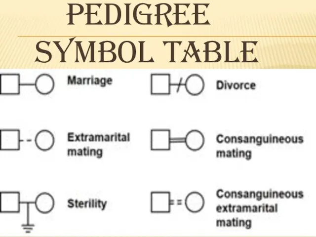 PEDIGREE SYMBOL TABLE