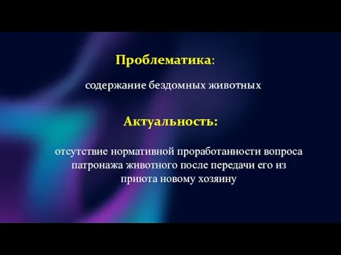 Проблематика: содержание бездомных животных Актуальность: отсутствие нормативной проработанности вопроса патронажа животного после