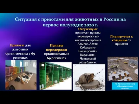 Ситуация с приютами для животных в России на первое полугодие 2020 г.