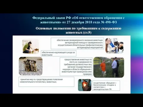 Федеральный закон РФ «Об ответственном обращении с животными» от 27 декабря 2018