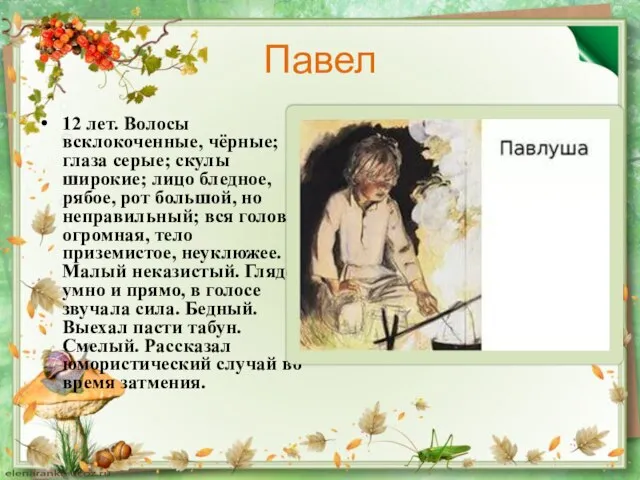 Павел 12 лет. Волосы всклокоченные, чёрные; глаза серые; скулы широкие; лицо бледное,