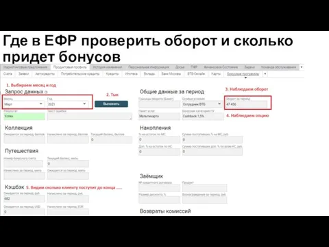 Где в ЕФР проверить оборот и сколько придет бонусов