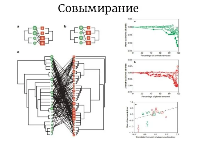 Совымирание