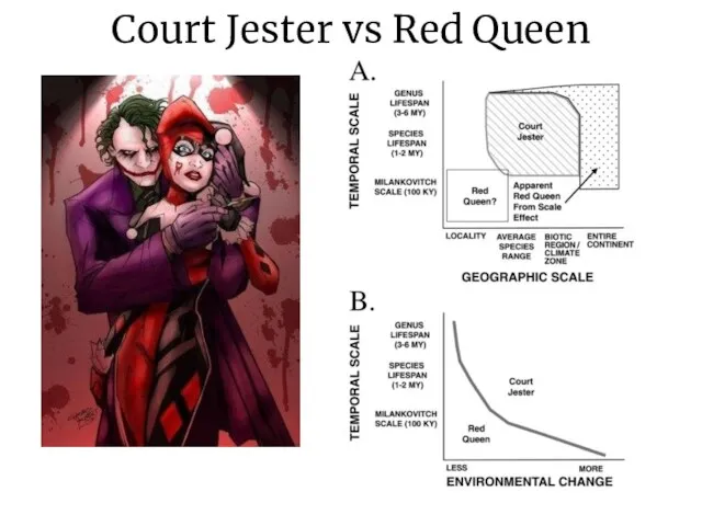 Court Jester vs Red Queen
