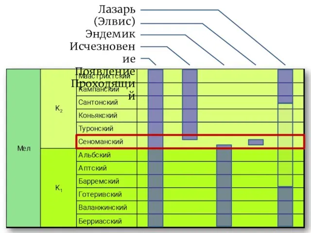 Лазарь (Элвис) Эндемик Исчезновение Появление Проходящий