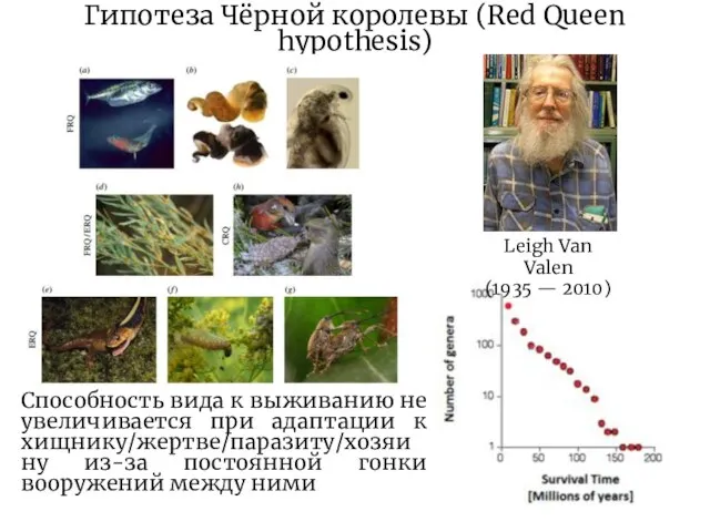Гипотеза Чёрной королевы (Red Queen hypothesis) Leigh Van Valen (1935 — 2010)