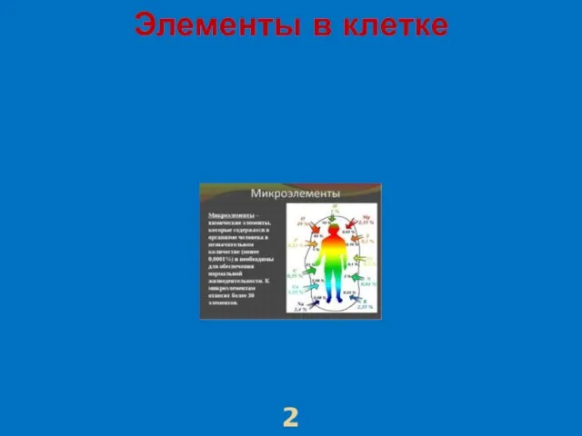 Элементы в клетке 2