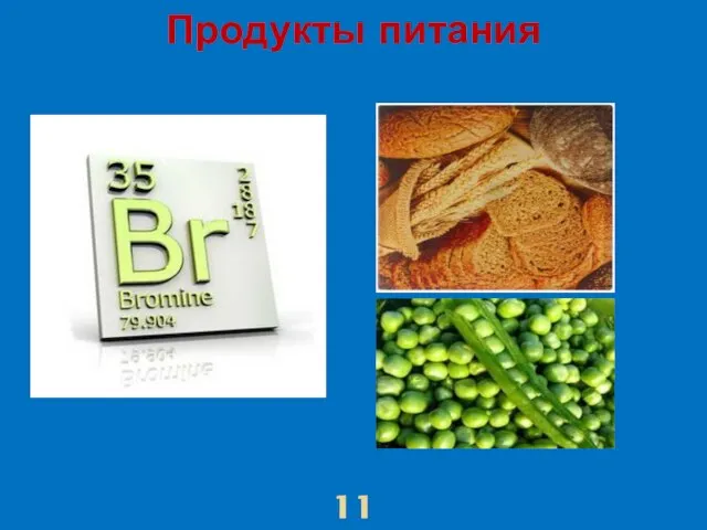 Продукты питания 11