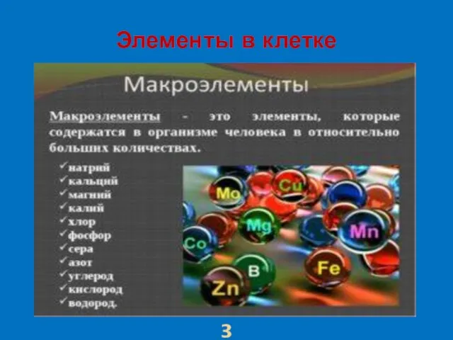 Элементы в клетке 3